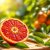 Czerwona pomarańcza – właściwości zdrowotne i cudowne korzyści