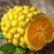 Ugli fruit – zdrowotne właściwości i wartości odżywcze tego owocu